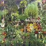 Apartamento Parque Jardim Europa