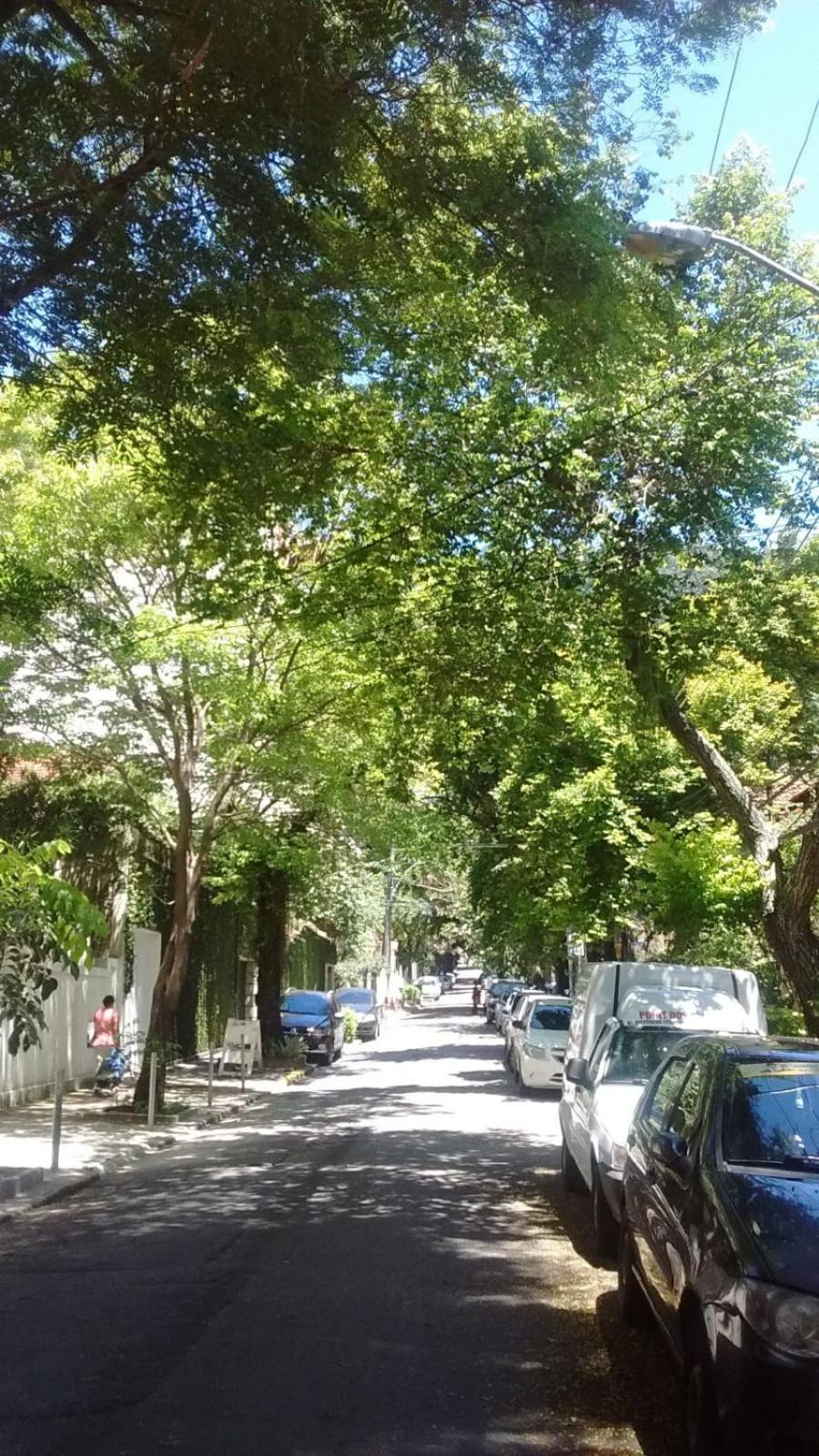Parque Jardim Europa *