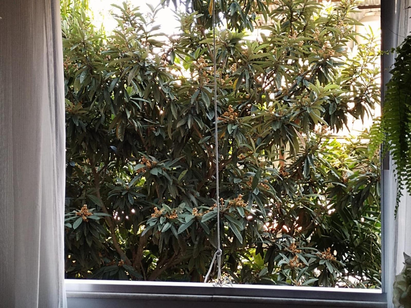 Parque Jardim Europa Apartamento